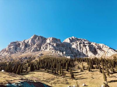 White Stone Snow Peak