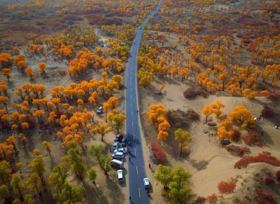 Duku Highway