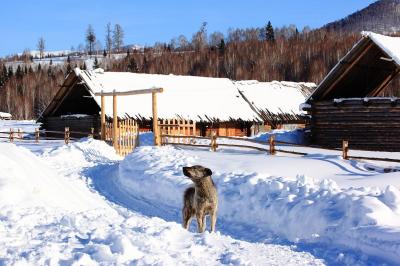 Hemu Village 