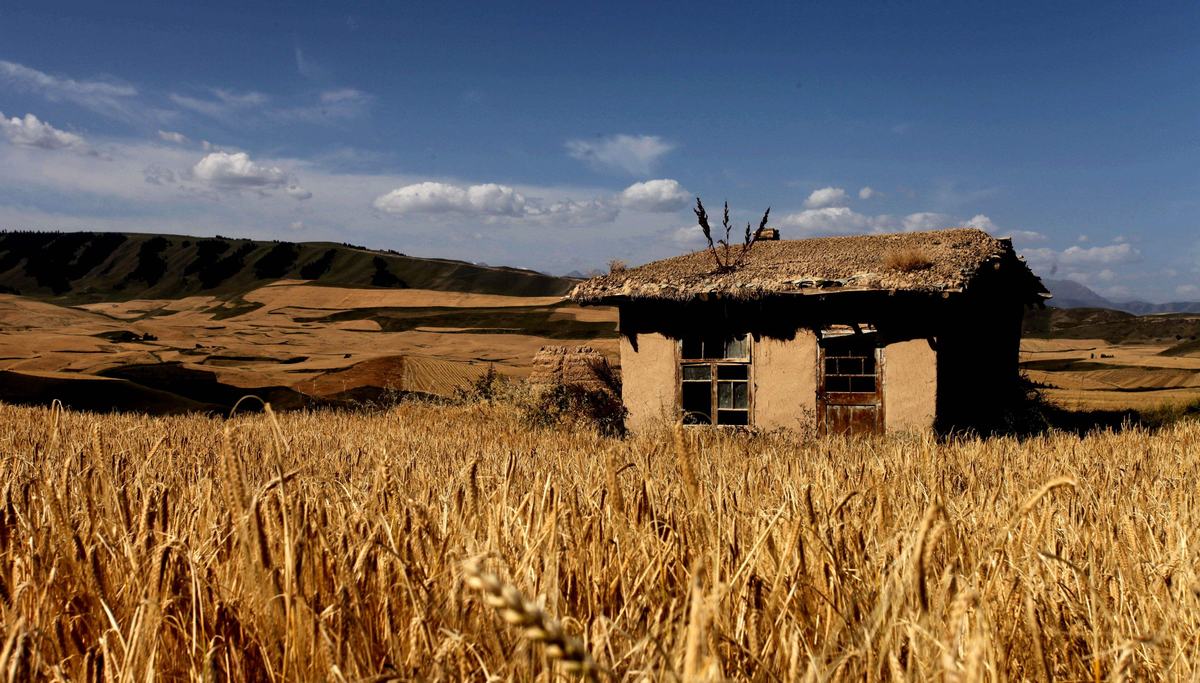 Xinjiang Jiangbulak Pasture