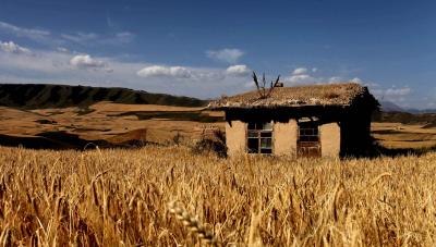 Xinjiang Jiangbulak Pasture