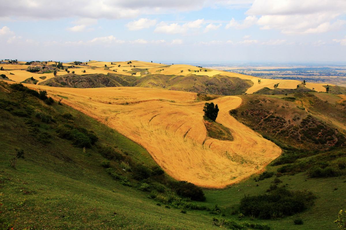 Jiangbulak Pasture Xinjiang Silk Road