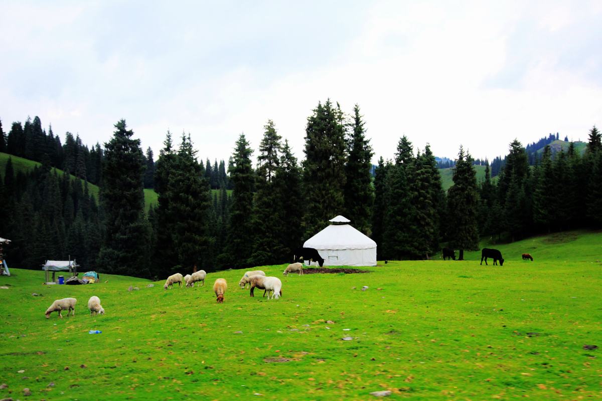 Jiangbulak Pasture Silk Road China