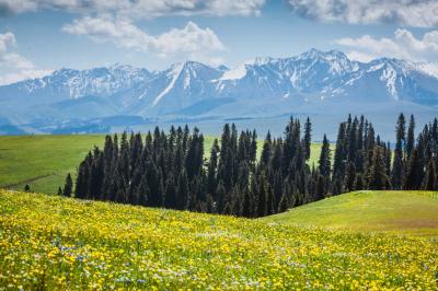 Kalajun Grassland