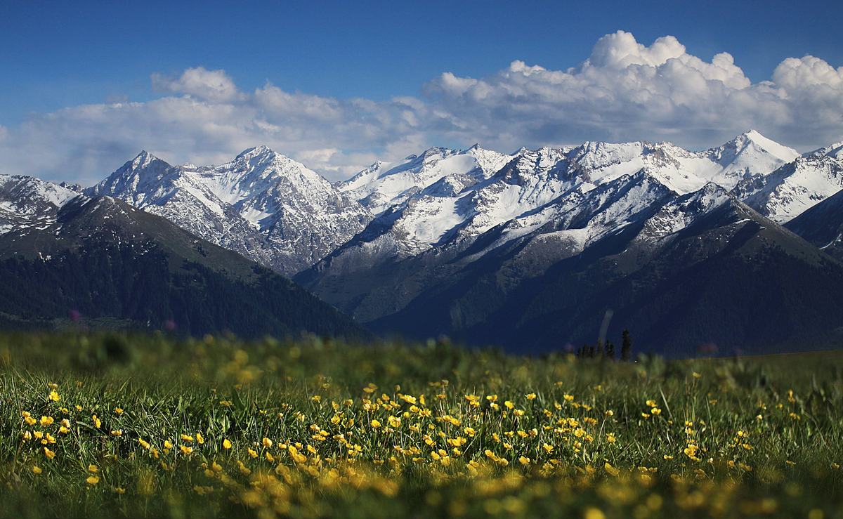 Kalajun Grassland