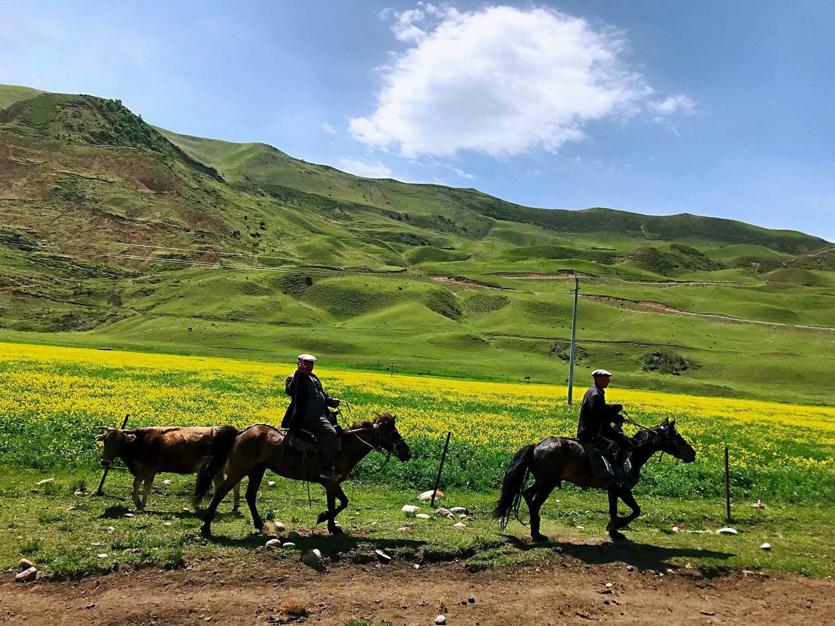 Xinjiang Kalajun Grassland