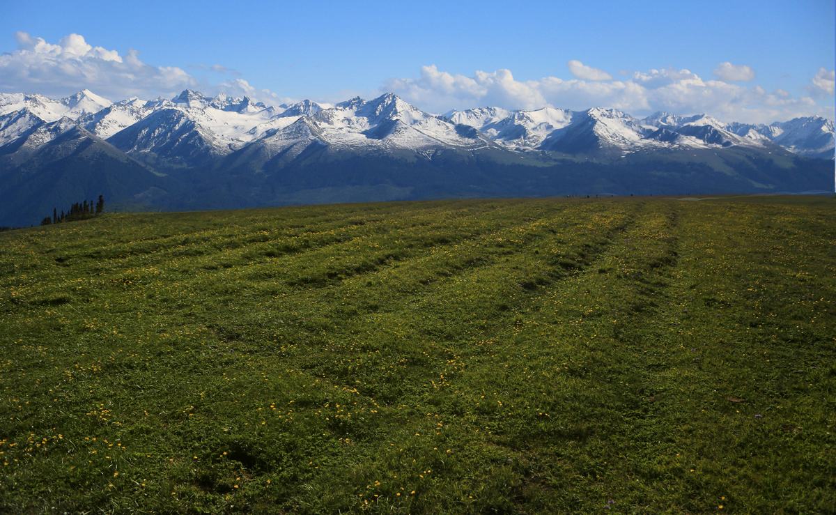 Kalajun Grassland