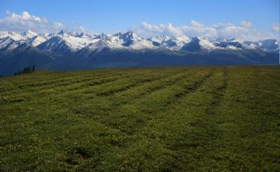 Kalajun Grassland