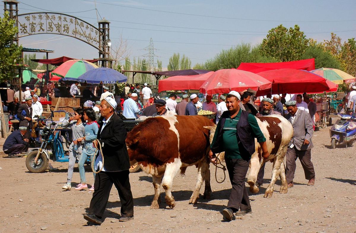 Kashgar Sunday Livestock Market