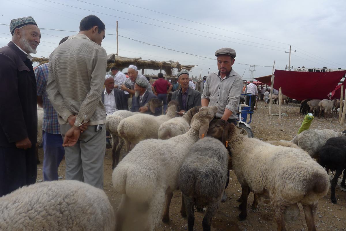 Kashgar Sunday Livestock Market