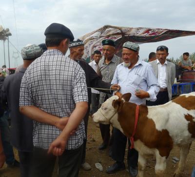 Kashgar Sunday Livestock Market