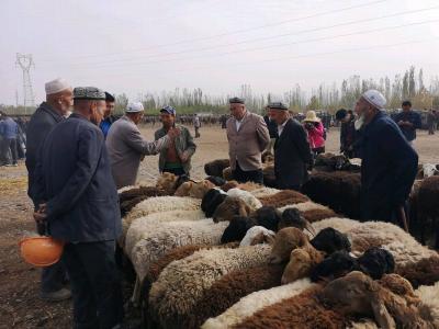 Kashgar Sunday Livestock Market