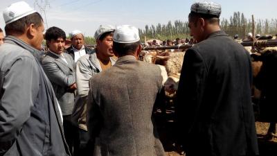 Kashgar Sunday Livestock Market