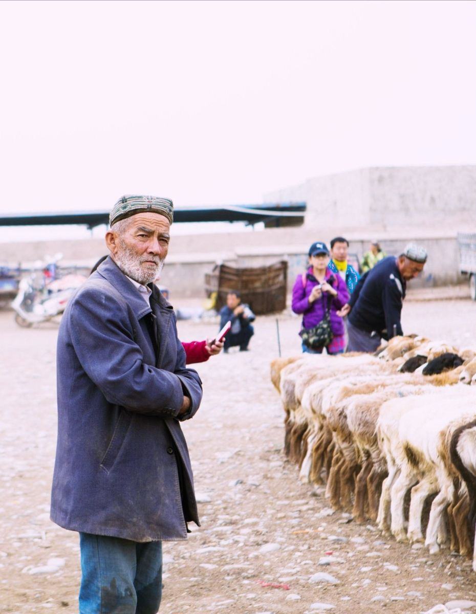 Kashgar Sunday Livestock Market