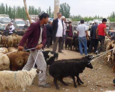 Kashgar Sunday Livestock Market