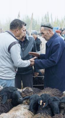 Kashgar Sunday Livestock Market