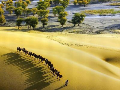 Kumtag Desert Scenic Area