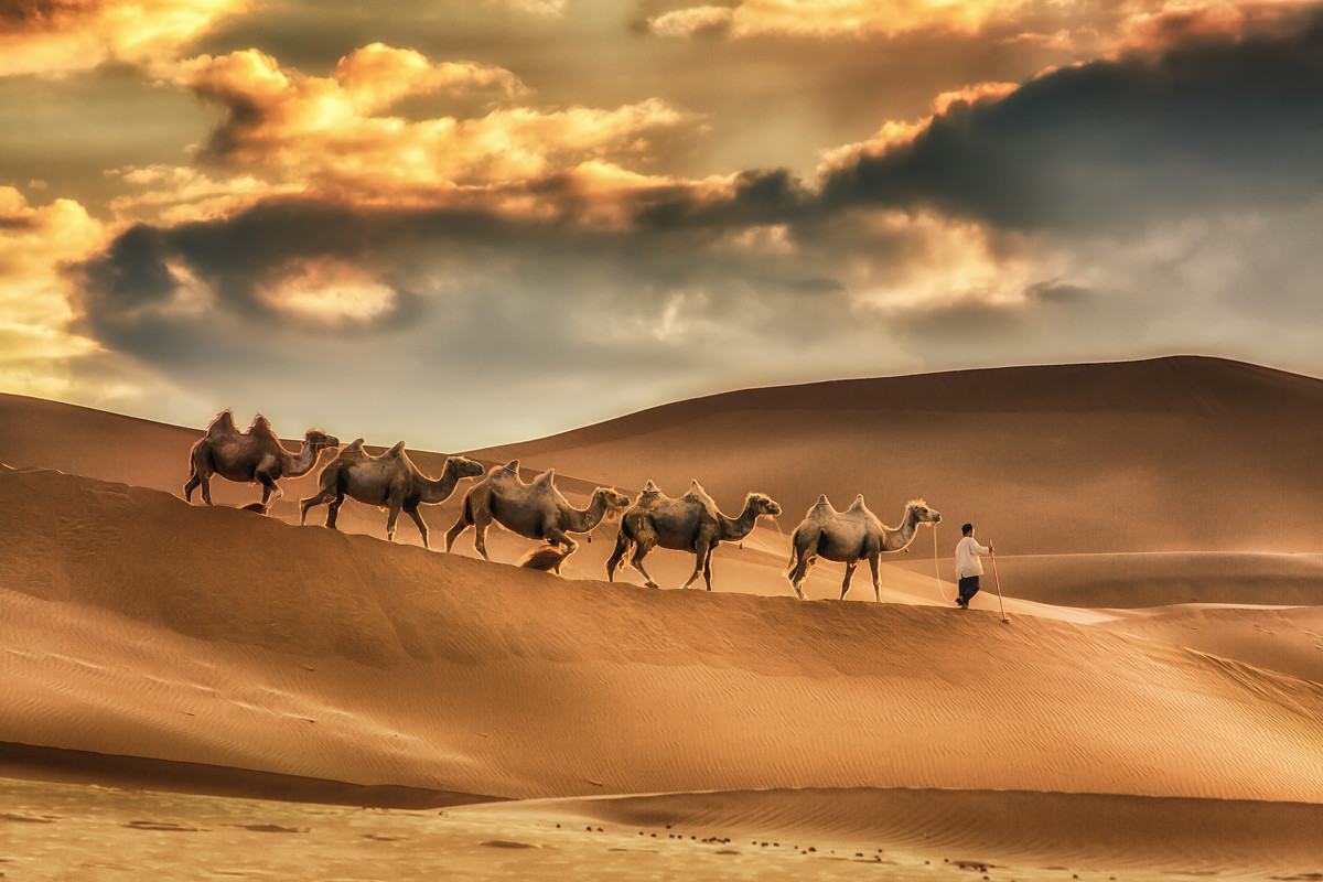 Xinjiang Kumtag Desert Scenic Area