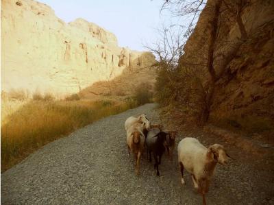 Mazar Village in Tuyoq Valley