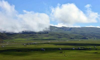 Narati Pasture Xinjiang Uygur