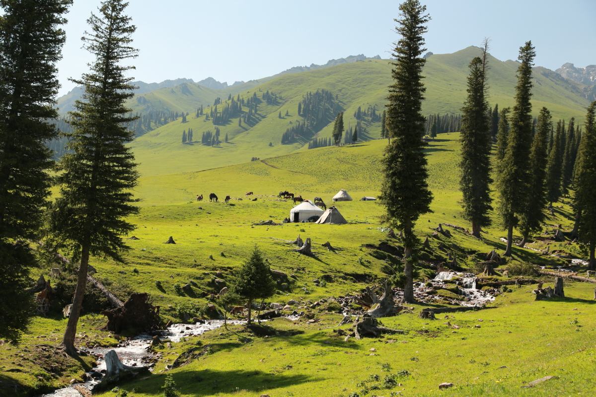 Narati Pasture