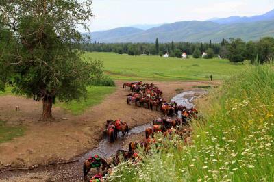 Narati Pasture Xinjiang