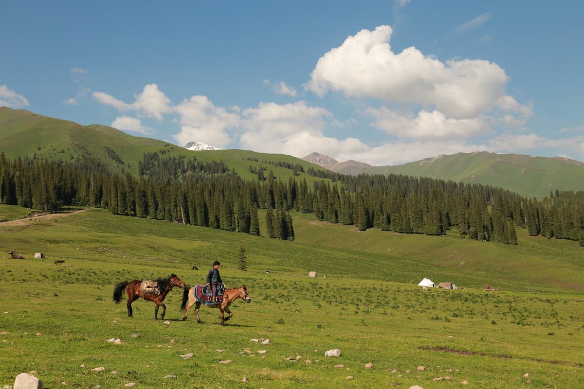 Narati Pasture Xinjiang, China