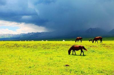 Nalati Grassland