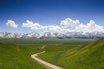 Xinjiang Uygur Narati Pasture