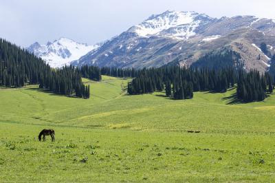 Narati Pasture