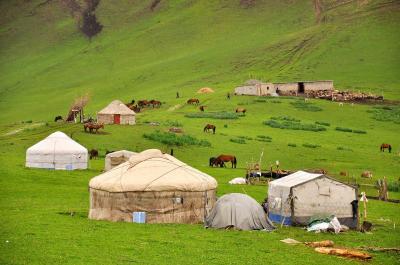 Narati Pasture