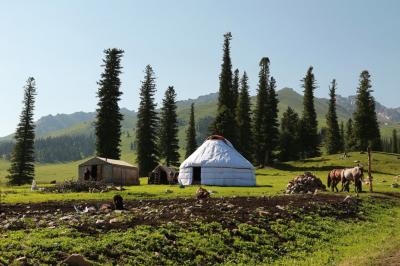 Narati Pasture