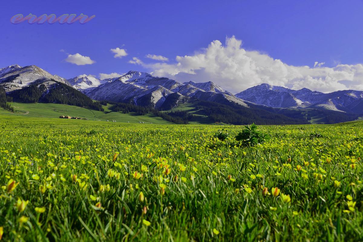 Narati Pasture