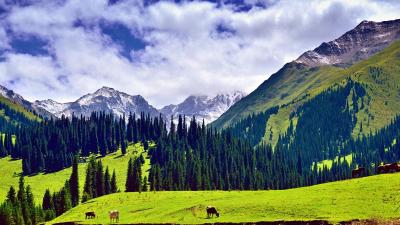 Nalati Grassland Xinjiang