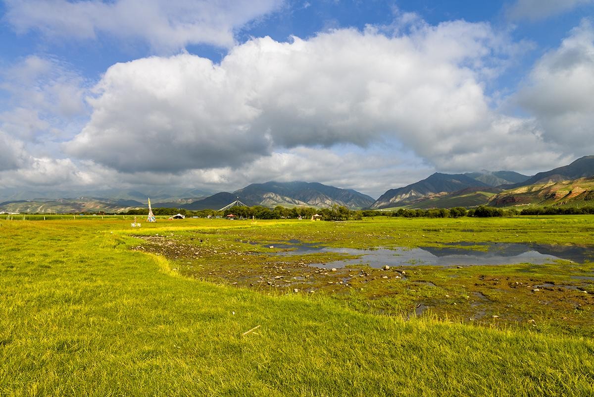 Sanke Grassland