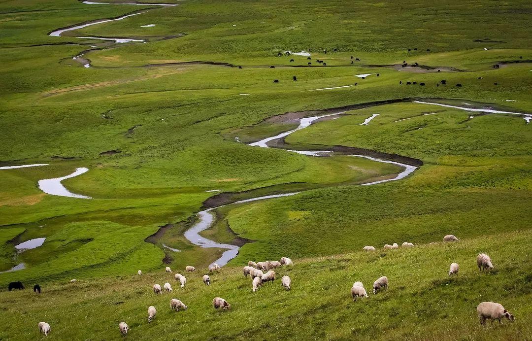 Xiahe Sanke Pasture