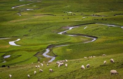 Xiahe Sanke Pasture