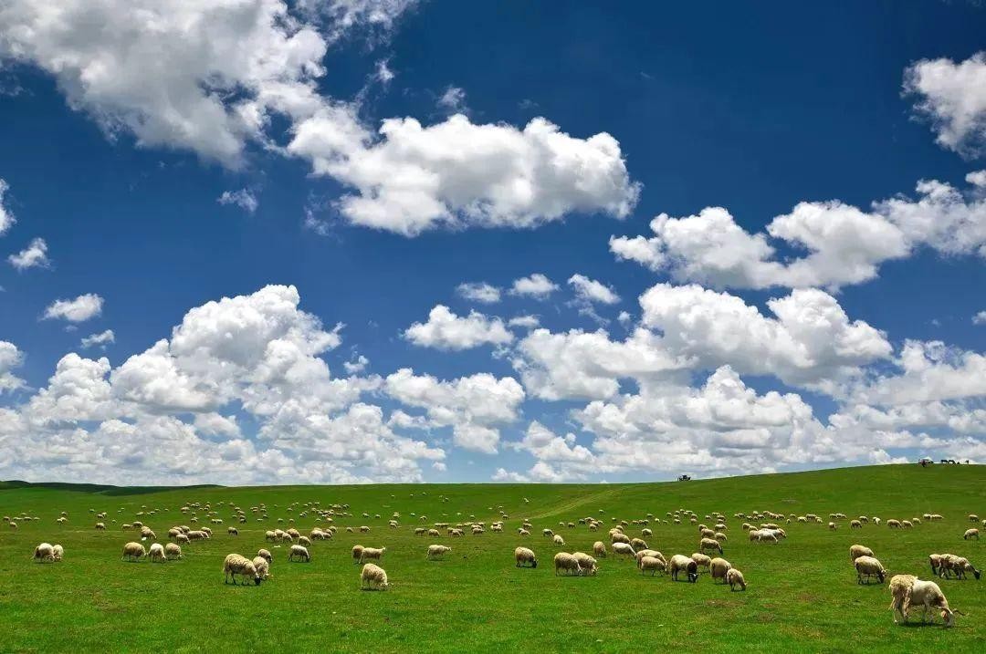 Sanke Grassland Xiahe County