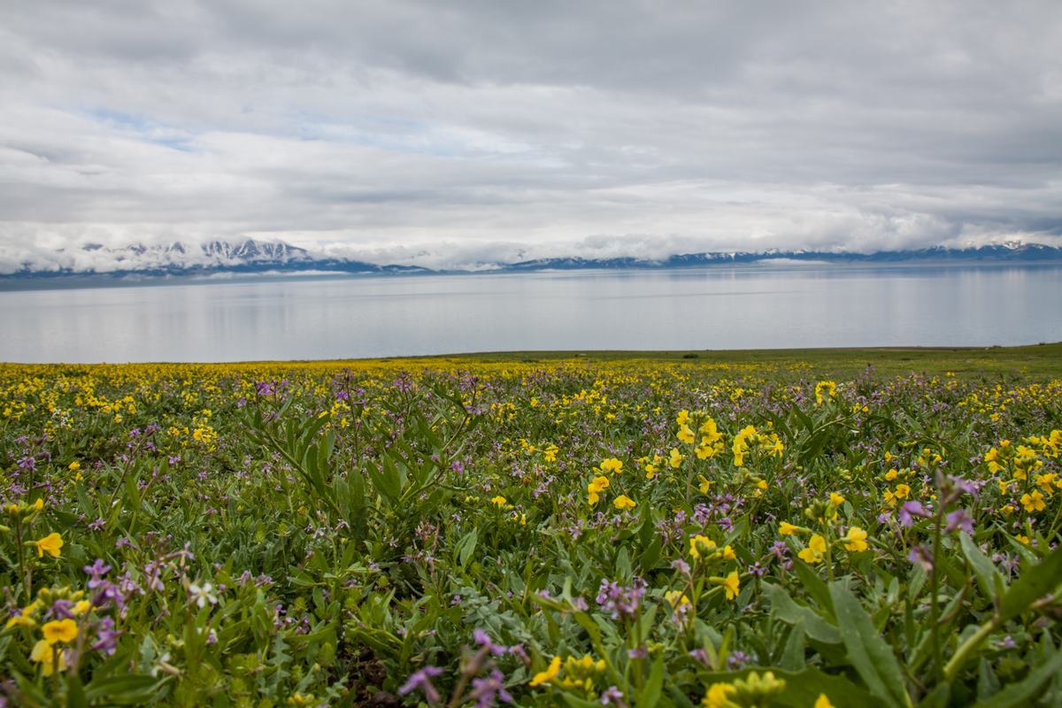 Xinjiang Sayram Lake