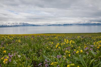 Xinjiang Sayram Lake