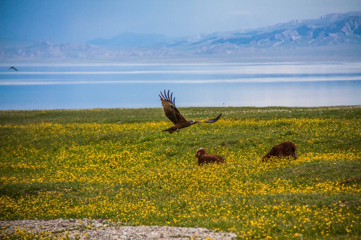 Sayram Lake