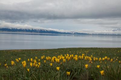 Sayram Lake