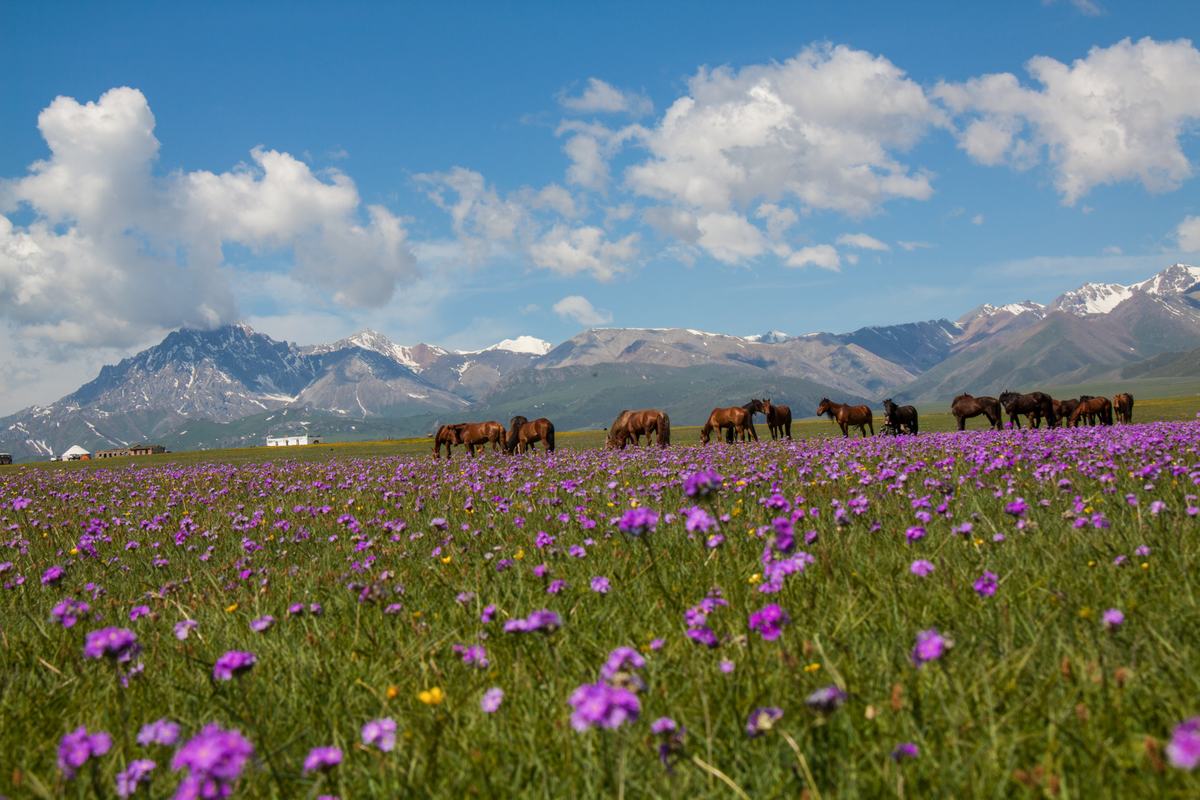 Sayram Lake