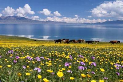 Sayram Lake