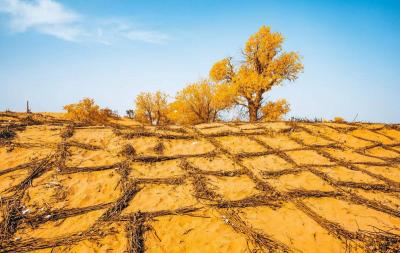 Taklamakan Desert