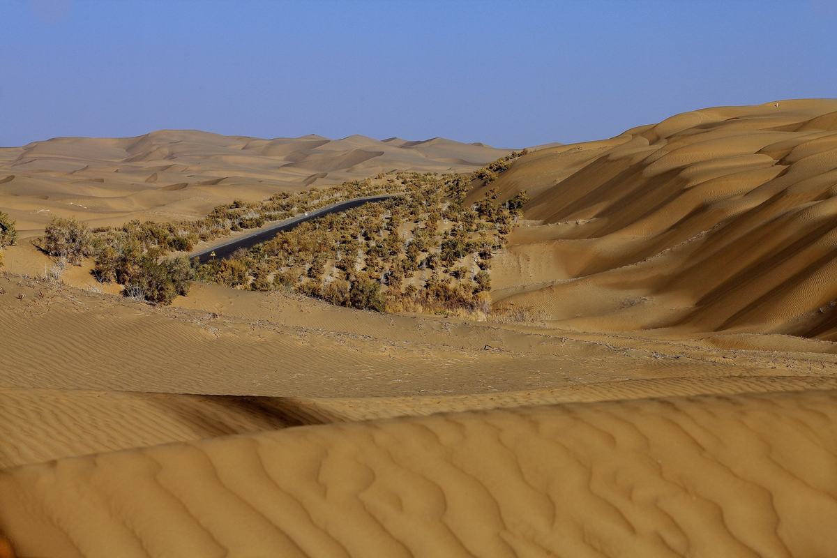 Taklamakan Desert