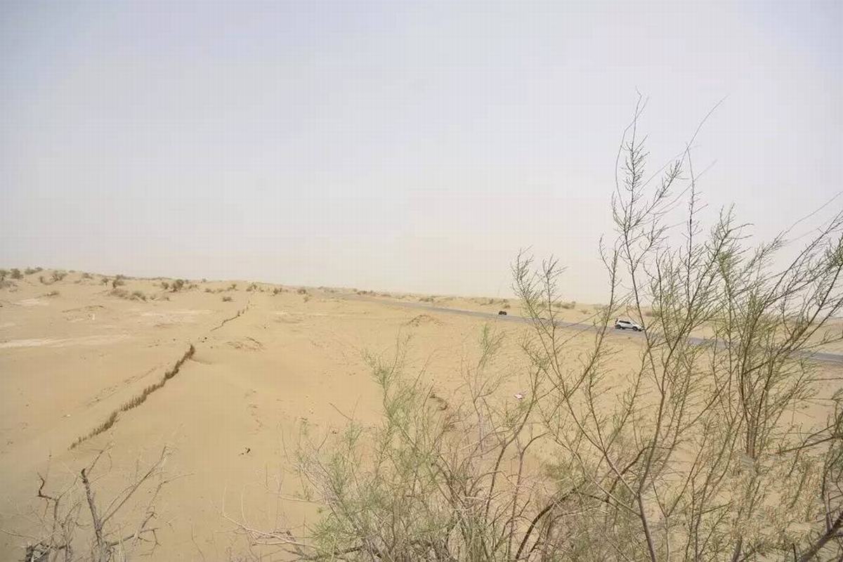 Xinjiang Taklamakan Desert