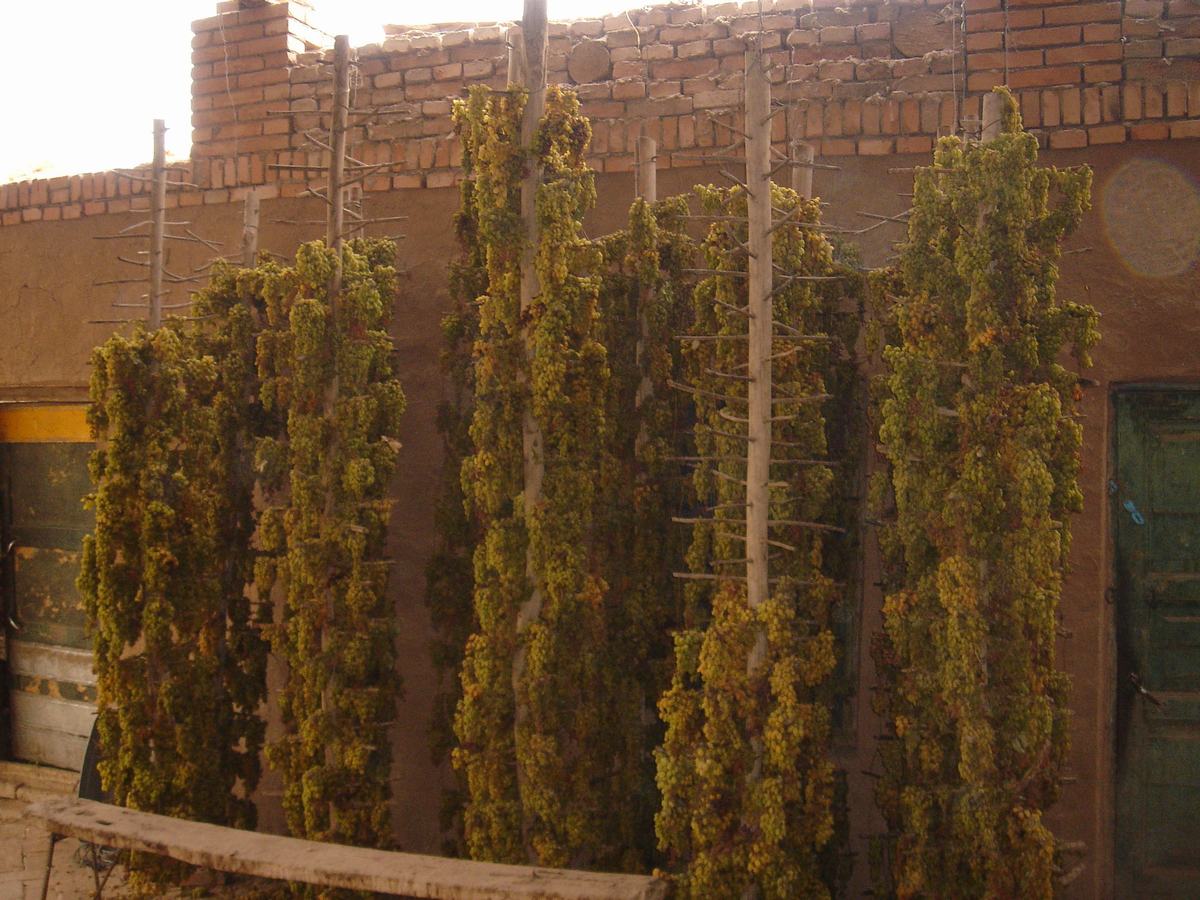 Turpan Grape Valley