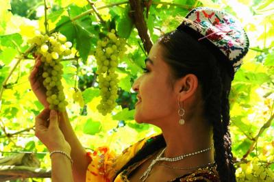 Turpan Grape Valley