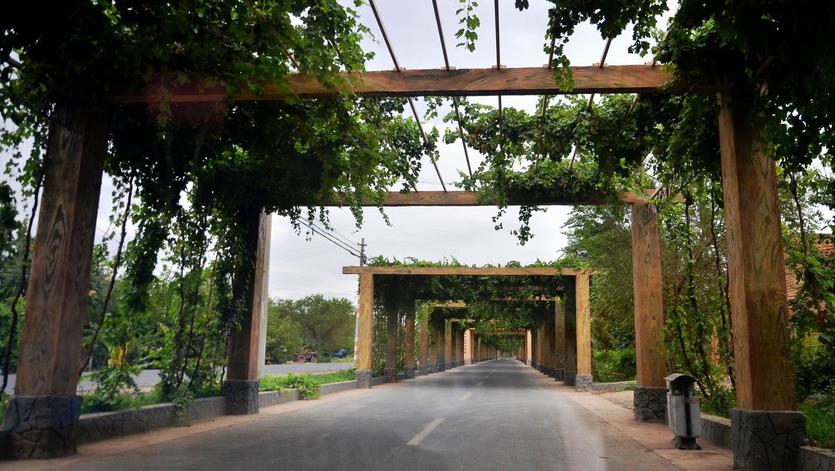 Turpan Grape Valley